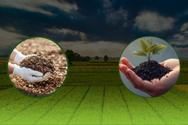 Turning climate goals into real impact