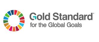 global-standard-logo